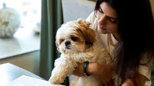 National dog day 2021 | happy international dog day: Tqrzlcediaxcqm