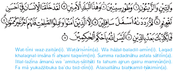 Pohon buah tin sudah ditanam sejak 4.000 tahun lebih. Surah Attin Beserta Latinnya Brainly Co Id