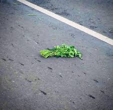 We did not find results for: Viral Foto Kangkung Tergeletak Di Jalan Raya Langsung Banjir Komentar Merdeka Com