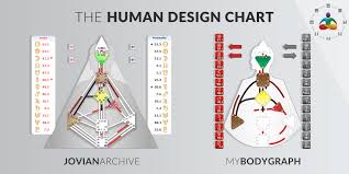 The Human Design Chart Bodygraph And Mandala