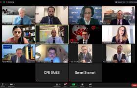 Who is the ceo of insearn.com. Sme And Entrepreneurship In The Perspective Of Oecd And Insme Insme