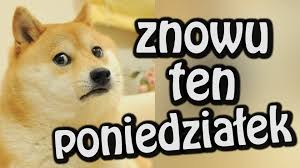 Obrazek dodany przez użytkowniczkę