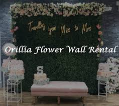We did not find results for: Orillia Flower Wall Rental Flower Wall Rentals