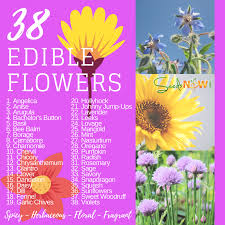 Do you have a favorite flower recipe? Flowers You Can Eat 38 Edible Flowers Edible Flowers Pansies Flowers Edible