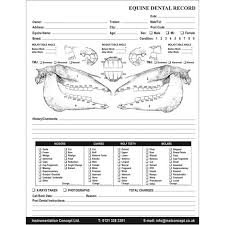 Equine Dental Charts