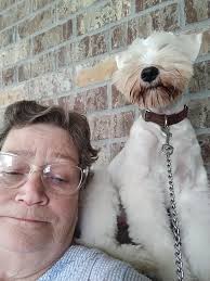 Introduction to the group