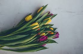 Pin with me at lauriepop where ideas pop. How To Make Beautiful Flower Arrangements This Spring Weavers Orchard