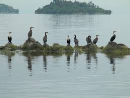 Lake kivu is an enchanting water body in rwanda. Lake Kivu Everything To Know Discover Africa Safaris