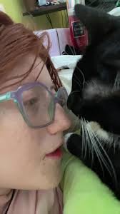 Patton🌺🍉 (@pattoncakes1)’s videos with Hi im Saul goodman