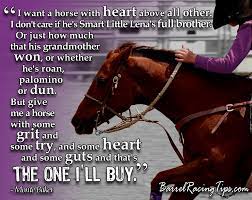 We did not find results for: Fun Barrel Racing Quotes Quotesgram