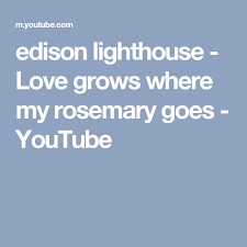 Edison Lighthouse Love Grows Where My Rosemary Goes Youtube Edison Rosemary Lighthouse