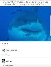 Pin On Humor Me