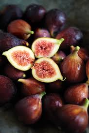 And what could possibly be more picturesque than homemade dessert baked with fruit from your own backyard? Sauce Magazine The Secret Fig Society How An Ancient Fruit Took Root In The Midwest