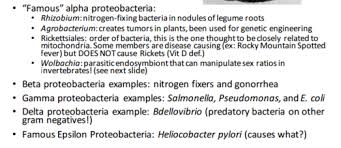 Biology 1407 Test 2 Study Guide Flashcards Quizlet