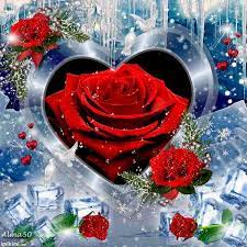 Heart In The Snow Imikimi Com Rose Flower Wallpaper Good Night Flowers Frozen Rose
