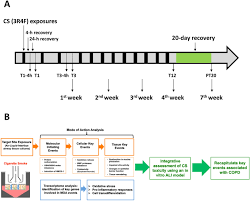 +nuevas signaturas +windows 7 compatible +windows 8 compatible +windows 10 compatible +menos falsos positivos +mayor estabilidad +deteccion 32/64 bits pe. Integration Of Transcriptome Analysis With Pathophysiological Endpoints To Evaluate Cigarette Smoke Toxicity In An In Vitro Human Airway Tissue Model Springerlink