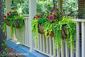 Some homes have a lot of garden space that can accommodate a wide variety of different plants. The Best Plants For Hanging Baskets On Front Porches