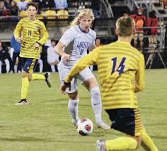 Wildcats top Patriots for state title