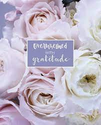 Overwhelmed With Gratitude The Daily Gratitude Journal For Women Grateful Thankful Positivity Happiness Journal And Diary Notebook With Prompts Flower Cover Digitshine 9781726255127 Amazon Com Books
