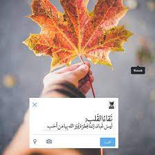 파이살 on instagram ليس غباء إنما ف ط رة ي ميز الله بها من أحب اقتباسات اقتباسا instagram instagram photo alphabet wallpaper