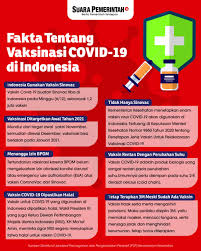 Sebagai panduan anda, inilah beberapa. Fakta Fakta Tentang Vaksinasi Covid 19 Di Indonesia