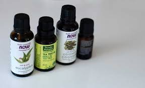 How To Use Tea Tree Oil For Bed Bugs And Is It Effective Pestkilled