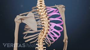Home gym workouts upper back anatomy for training | photo & guide. Scoliosis Symptoms Treatment And Surgery