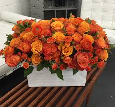 Pin On Pasion Por Las Rosas