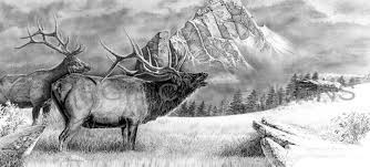 Pin On Pencil Drawings