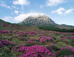 한라산 google search natural landmarks landscape landmarks