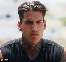 Love Island'S Terry Walsh: His Age, Job And Showdown With Malin Andersson