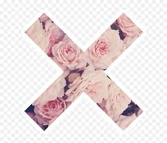 Ver más ideas sobre pegatinas bonitas, pegatinas imprimibles, pegatinas tumblr. Download X Tumblr Sticker Flower Flowers Desktop Fondos De Pantalla Hd Para Mujer Png Free Transparent Png Images Pngaaa Com