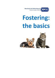 We did not find results for: Fostering The Basics Guide Rspca Manchester And Salford