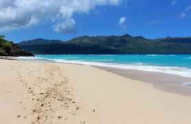 Image result for beach and ocean