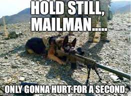 The Battle Between Dog Vs Mailman Just Got Real Imgflip
