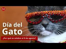 A partir de 2013, la fecha es el 3. Dia Internacional Del Gato Por Que Se Celebra El 8 De Agosto Youtube