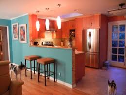 a southwest style, dog friendly kitchen