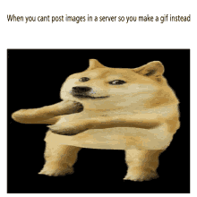 We only accept high quality images, minimum 400x400 pixels. Doge Dance Gifs Tenor
