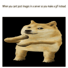 What do doge memes mean? Doge Dance Gifs Tenor