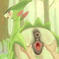 virizion  funny cocks & best free porn: r34, futanari, shemale, hentai,  femdom and fandom porn HD phone wallpaper