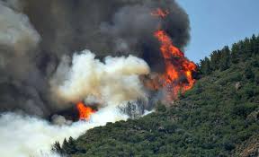 Suçatı mevkinde meydana gelen yangında söndürme çalışmaları sürüyor. Marmaris Te 1 Kisinin Hayatini Kaybettigi Orman Yangini Kontrol Altinda Sputnik Turkiye
