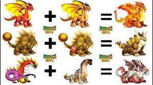 Dragon City Fastest Breeding For Heroic Race 2019 Youtube Head on and let your dragons engage in combat in dragon city. dragon city fastest breeding for