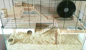 Skyline Nagerkafig Falco Gunstig Bei Zooplus Hamster Hamster Ideen Hamster Lebensraum