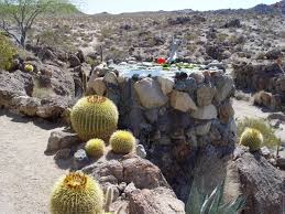 Each of these adaptations allow the plant to collect and store water more efficiently in an environment where water is scarce. Desert Gardening Wild About Water Lilies