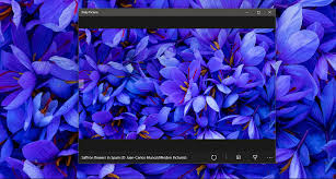 You can use the bing wallpaper app to automatically change your desktop background with a new background each day. Set Daily Bing Wallpaper As Your Windows Desktop Background Technoresult