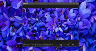The preview window gives you a sneak peek of your changes as you make them. Set Daily Bing Wallpaper As Your Windows Desktop Background Technoresult
