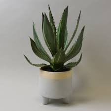 If you are looking for a small, windowsill plant, you may find yourself overwhelmed as with all succulents and cactus, aloe does not like overwatering. Aloe Vera In White Pot 36cm Artificial Flowers And Plants Artificial Flowers Potted Aloe Vera