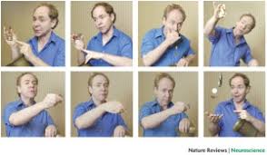 Magic toy cardex magician playing card into the sleeve magic props. Attention And Awareness In Stage Magic Turning Tricks Into Research Nature Reviews Neuroscience