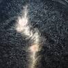 Inflammation of the scalp may be one of the most important cause of hair loss to address. 1