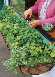 Den Garten Individuell Gestalten Krautergarten Anlegen Anleitung Mit Bildern Balkon Blumen Krautergarten Anlegen Garten